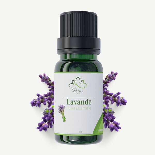 Huile Essentielle Lavender