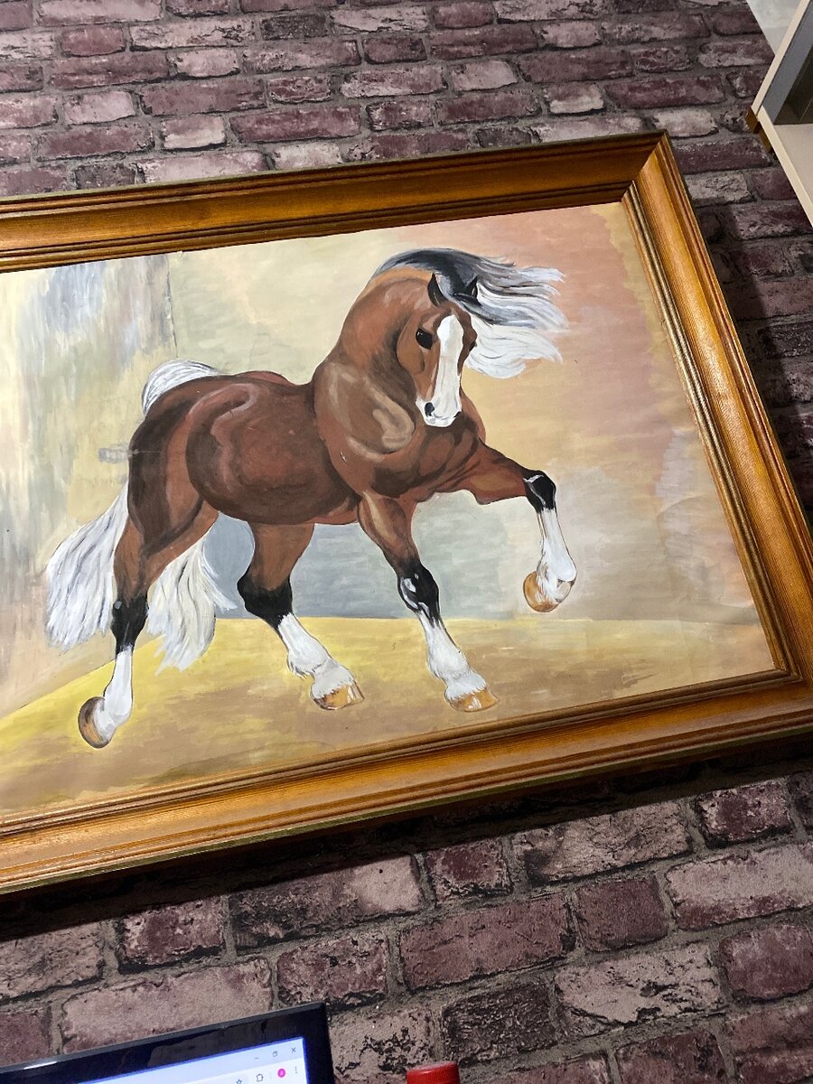 Horse