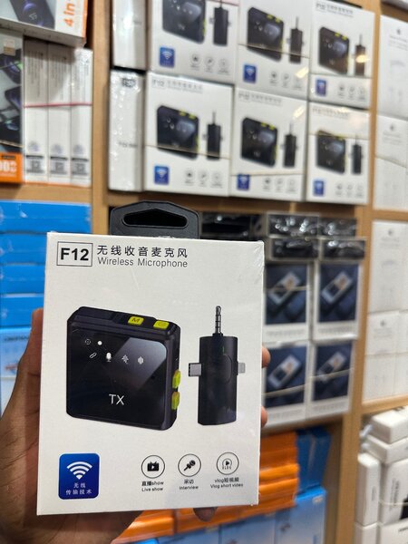 Wireless Microphone F12