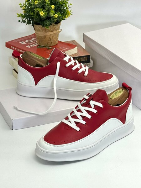 Trendz collection