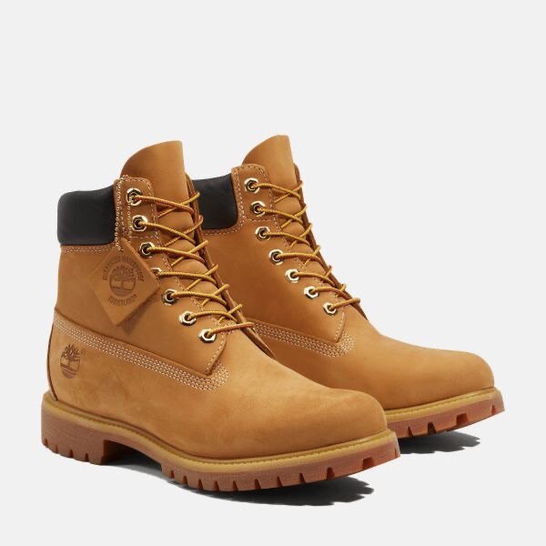 TIMBERLAND
