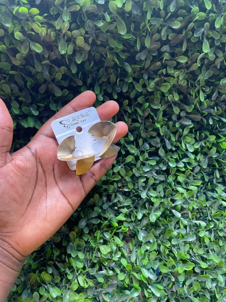 Earrings for ladies