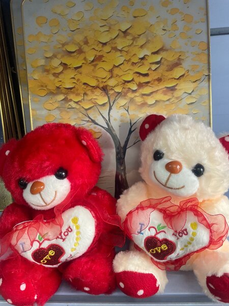 Oursons en peluche "I Love You"