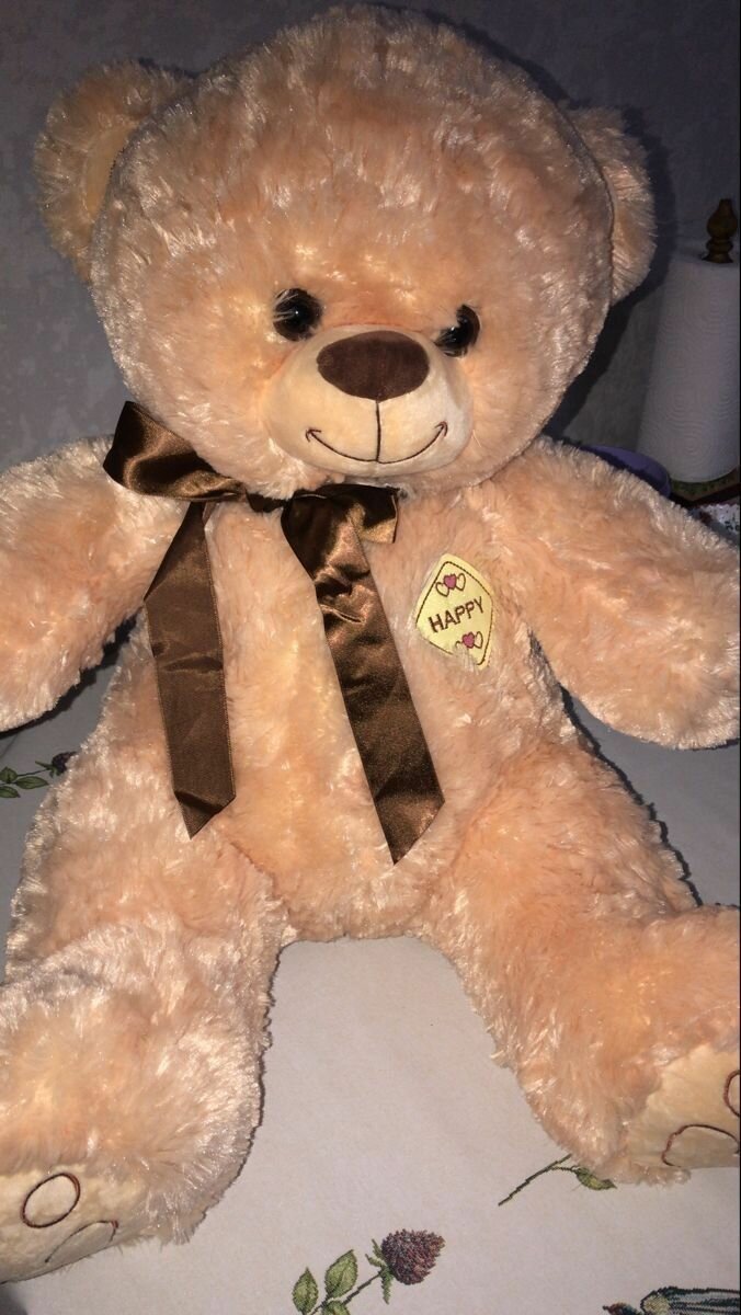Teddy bear