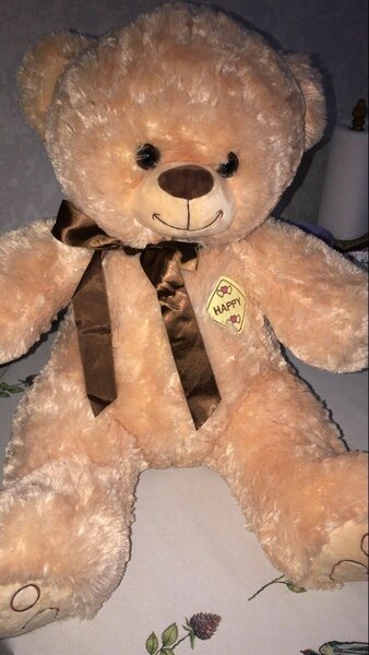 Teddy bear