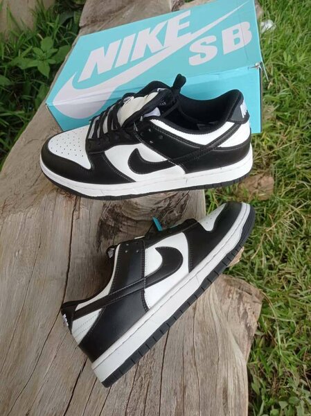 Jordan SB dunk low cut