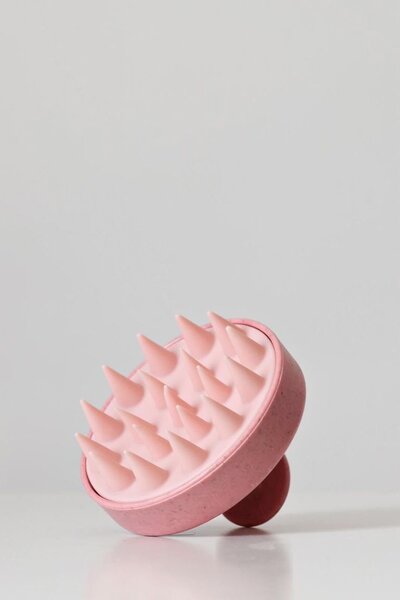 Brosse de Massage Capillaire