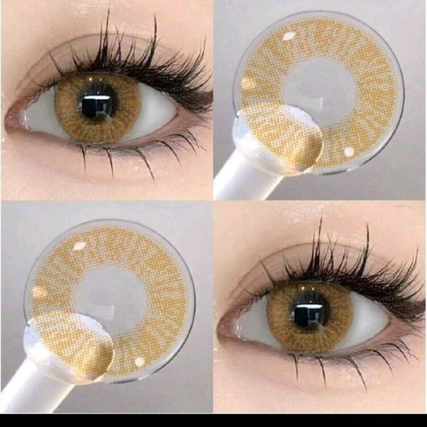 Lentilles