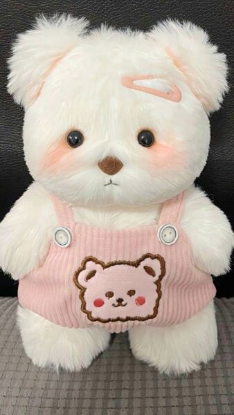 Teddy bear
