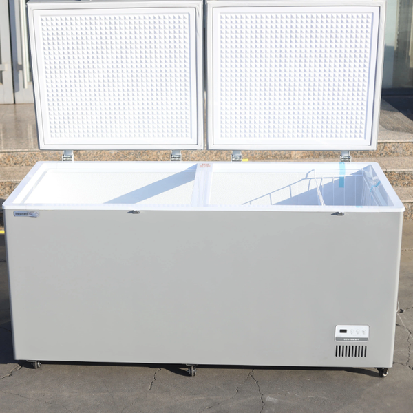 Biggest deep freezer
