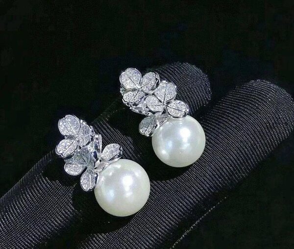 Fashion earrings