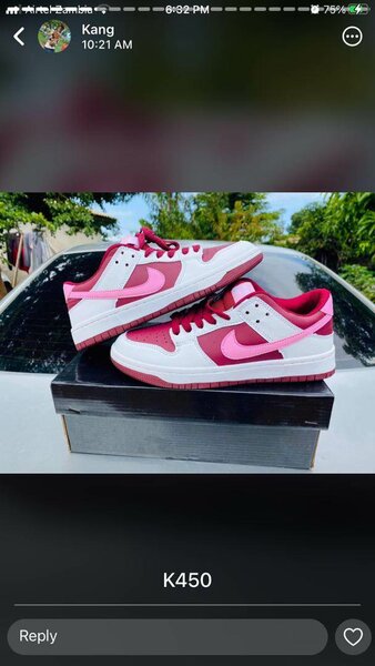 Nike SB DUNK