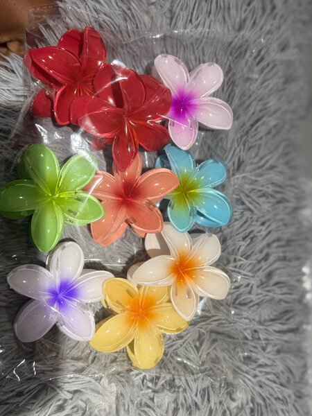 Hair clips