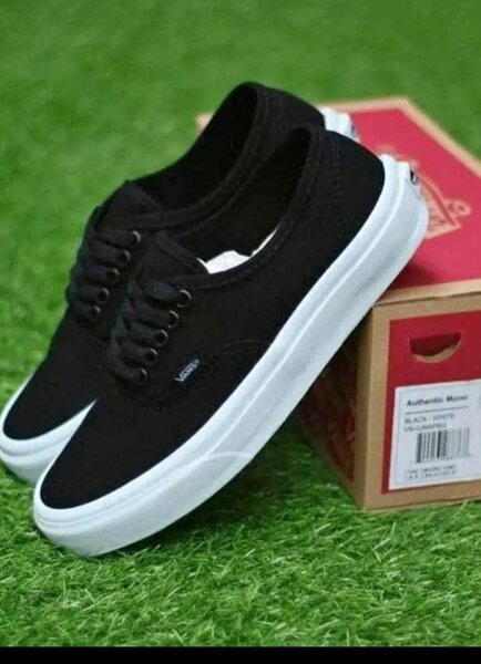 Classic vans