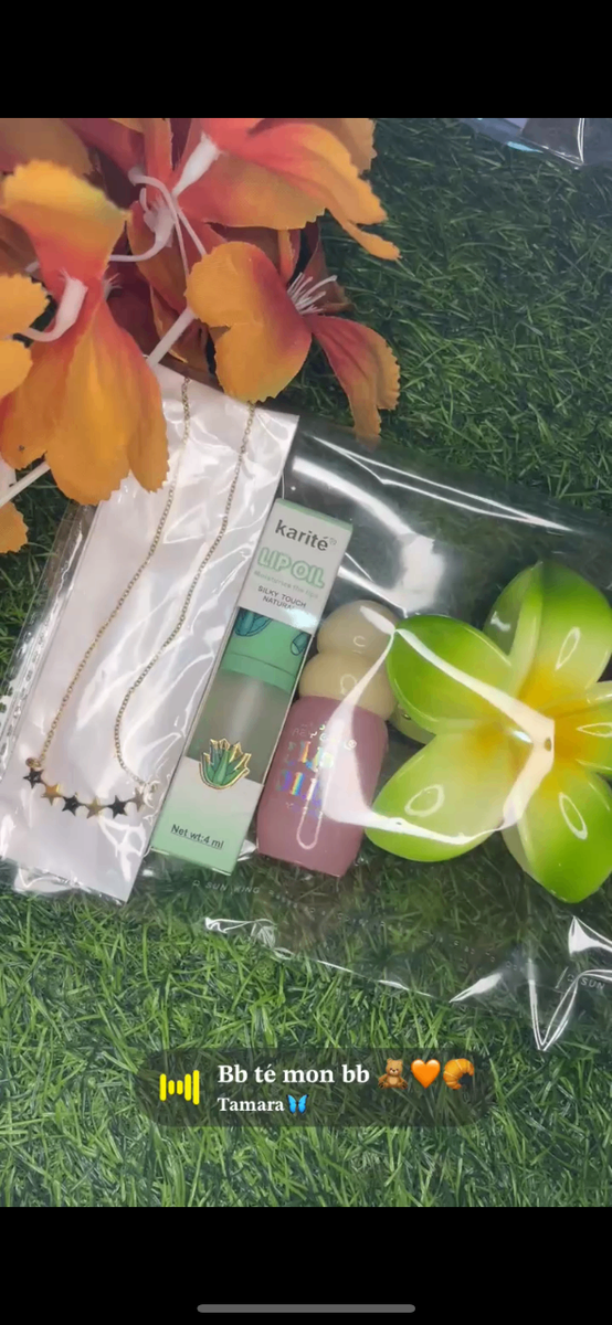 Kit de gloss