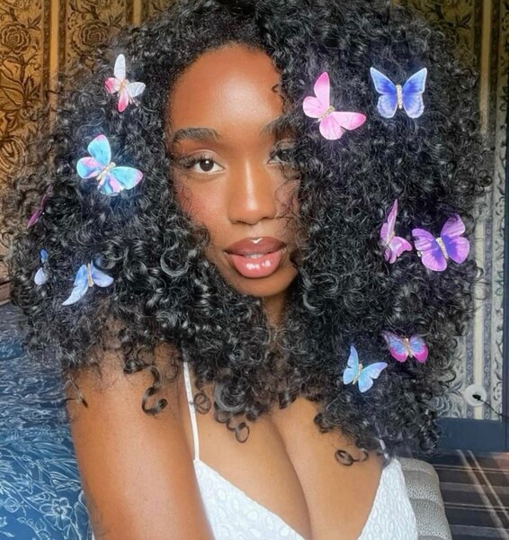 Barrette papillon