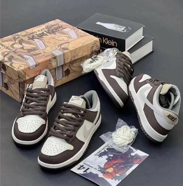 Nike sb low dunk