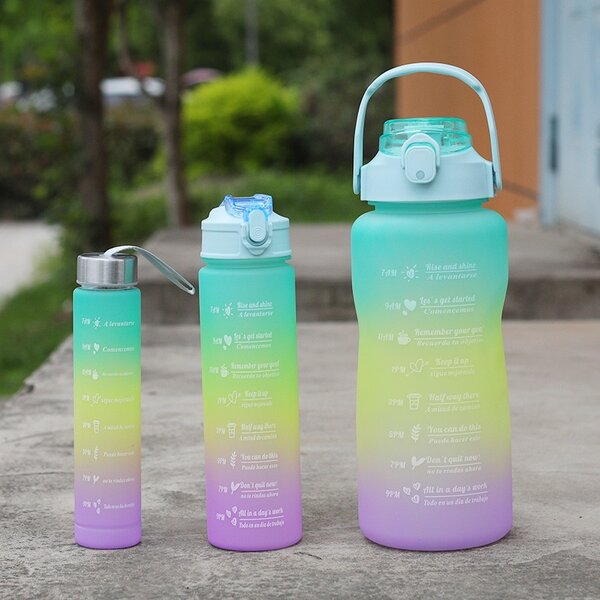 Bottle