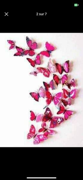 Papillons