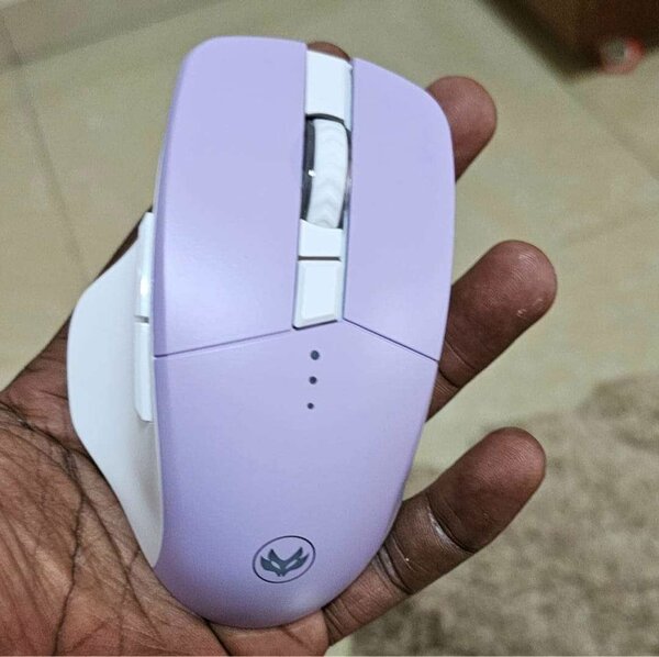Une souris