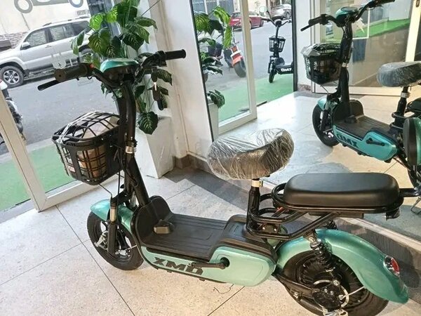 Scooter électrique pour adulte