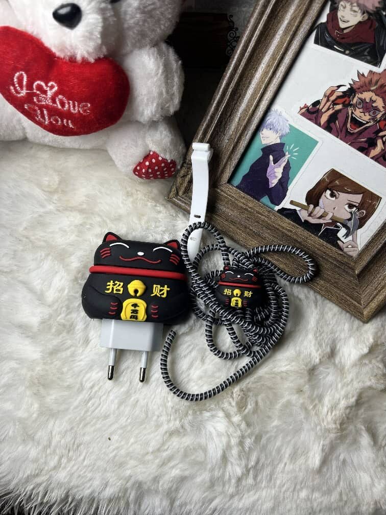 Protege chargeur