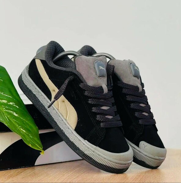 Pumas