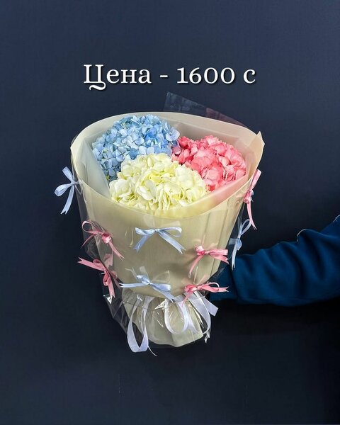 Гортензии