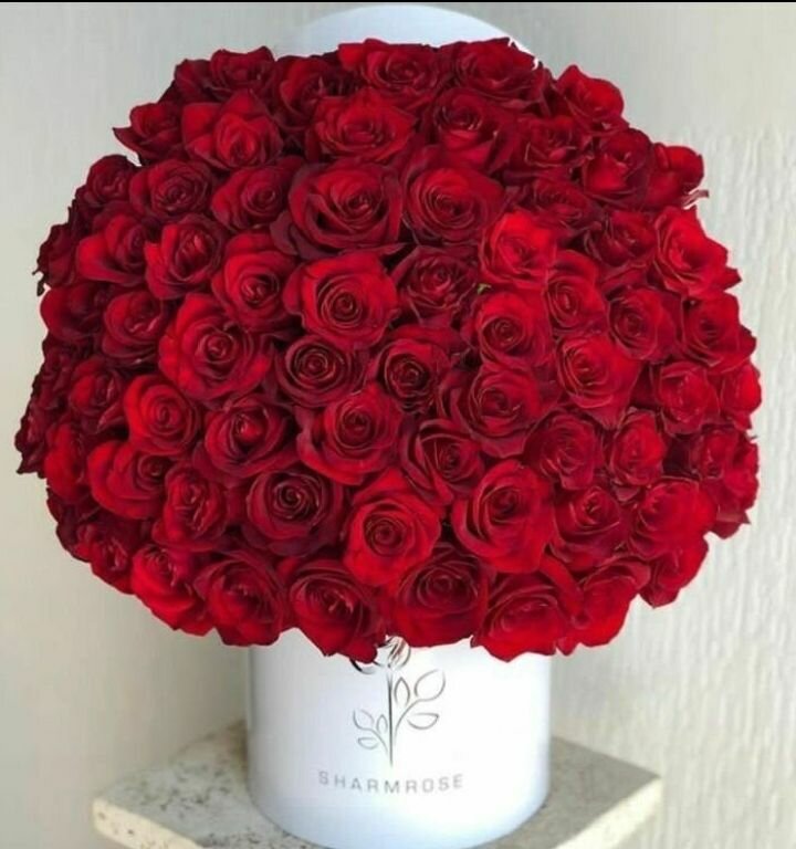 Bouquet de roses naturelles