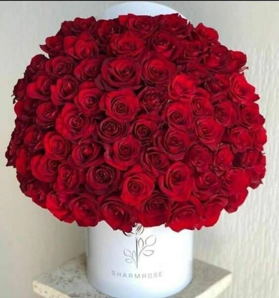 Bouquet de roses naturelles