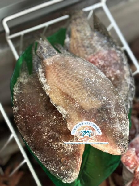 Poissons carpes