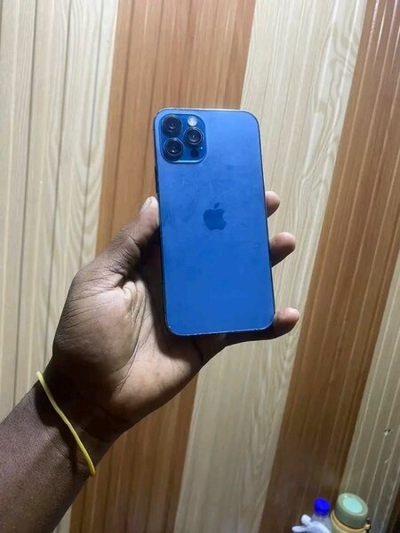 iPhone 12 Pro Max Bleu