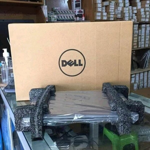 Ordinateur Dell Professionnel