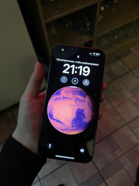 iPhone 13 Pro Max