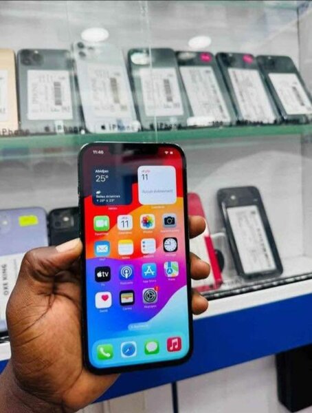 iPhone 12 Pro Max Bleu