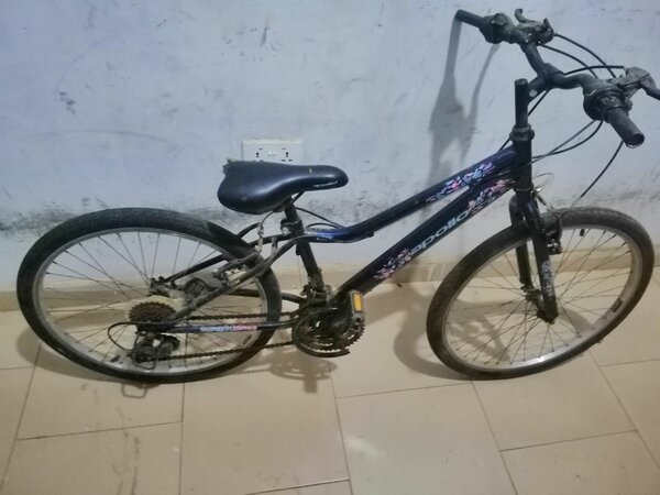 Home use bicycles