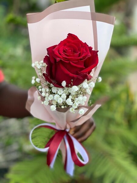 Fresh Rose flowers