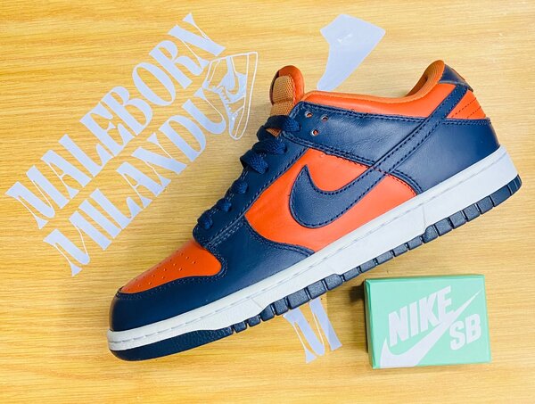 Nike sbs