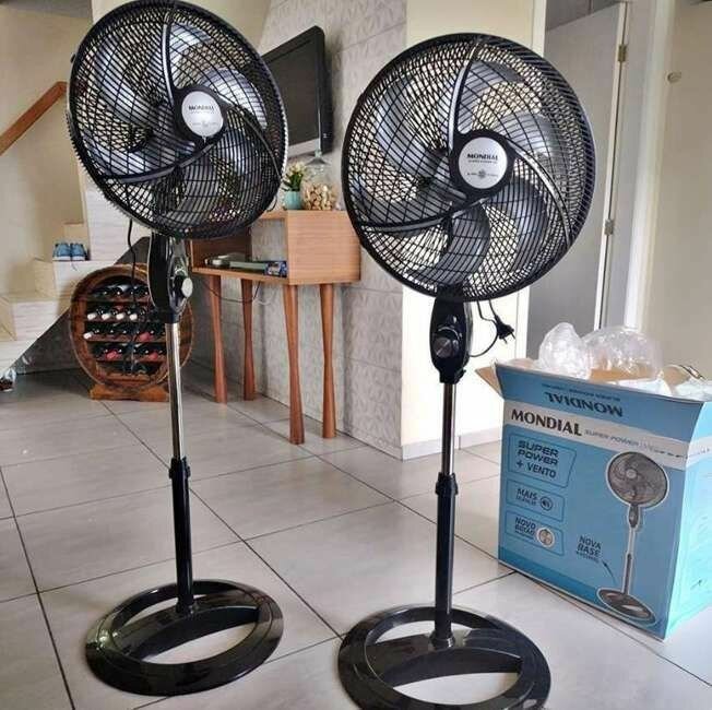 Fan