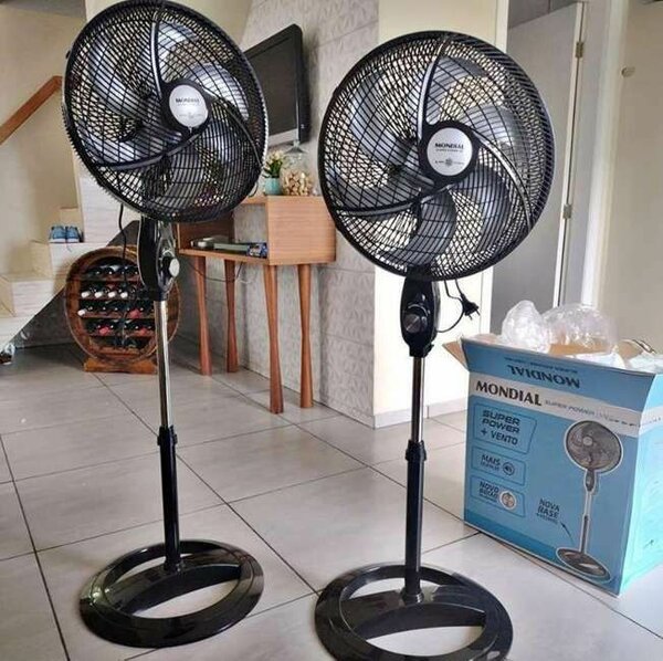 Fan