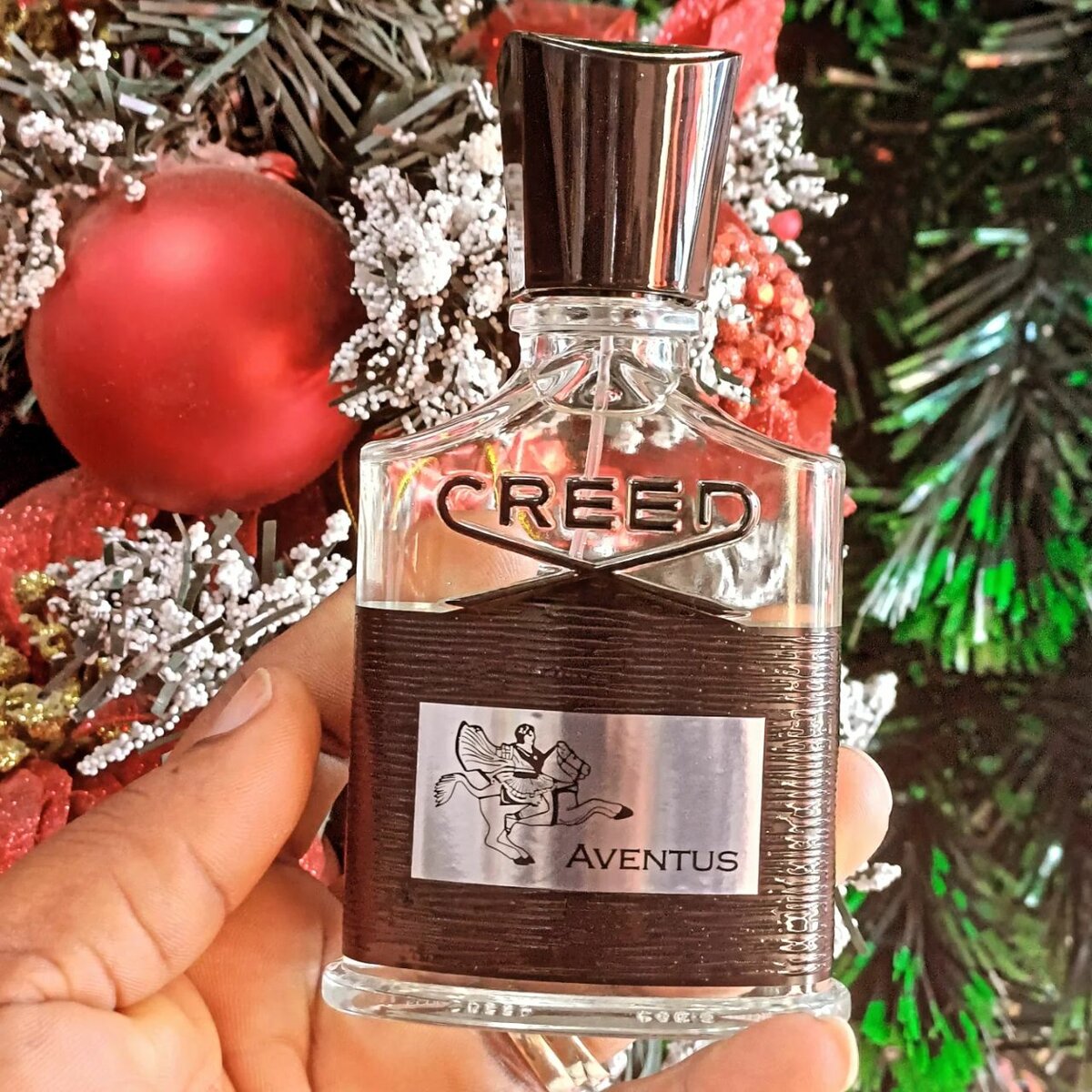 Creed aventos