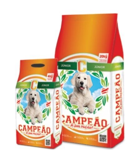 Campeão