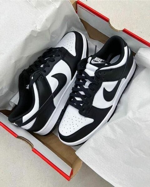 Air Nike