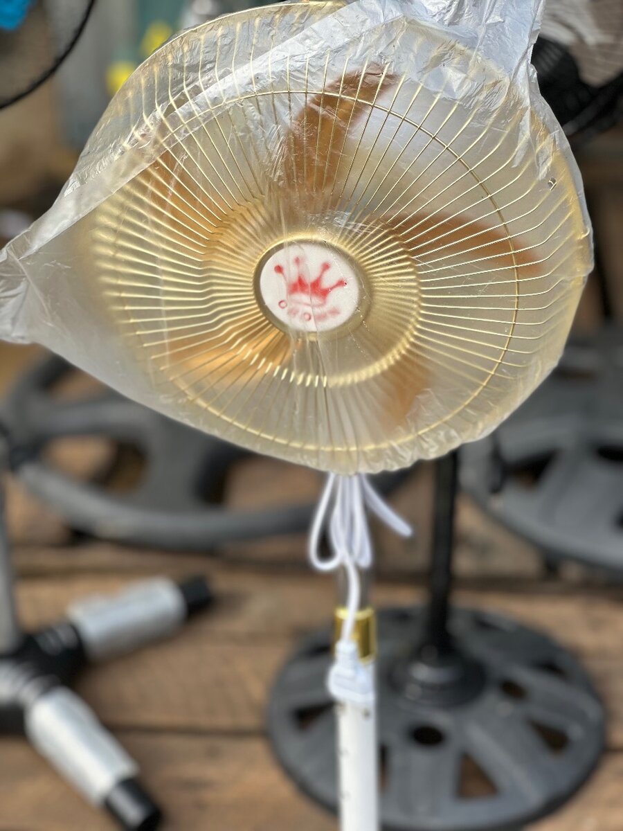 Crown doré blanc