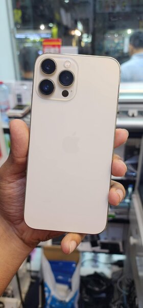 iPhone 13 Pro Max