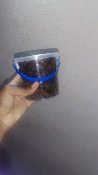 Savon noir