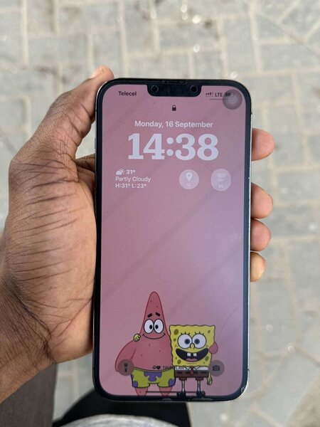 iPhone 13 Pro Max