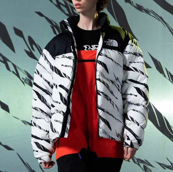 Parka/Doudoune The North Face