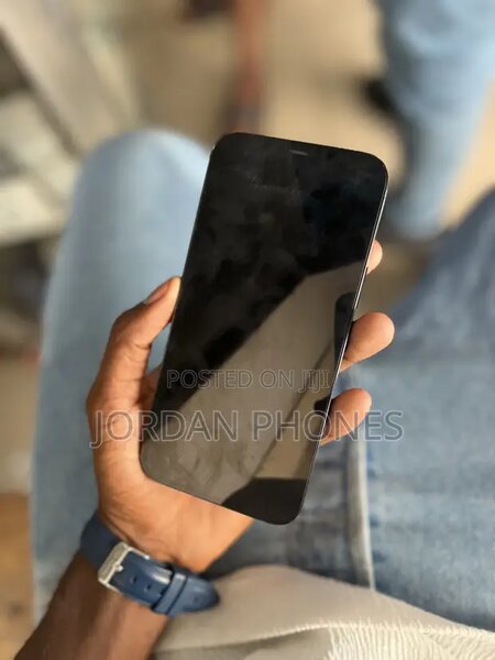 iPhone 12 Pro Max