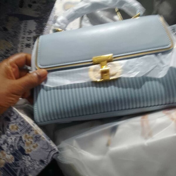 Bag  purse etc